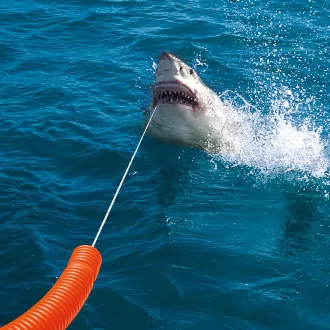 09 Creatividad Ejemplo