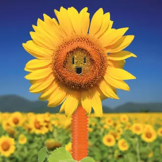 14 Creatividad Ejemplo