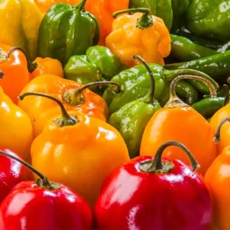 20 Fotografia Product Shot