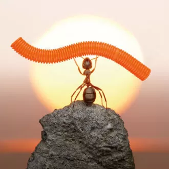 30 Creatividad Ejemplo