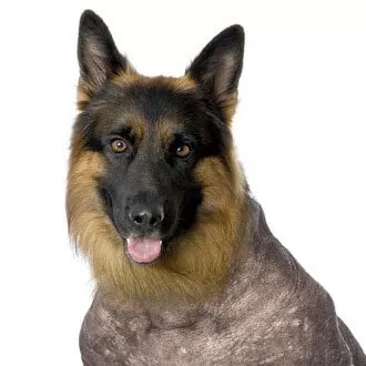 47 Creatividad Ejemplo