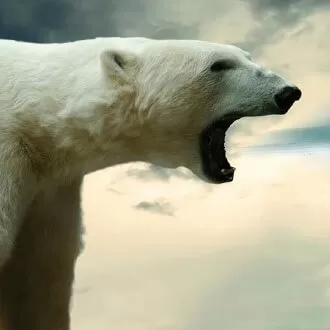 48 Creatividad Ejemplo