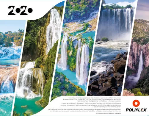 Editorial Calendario 1