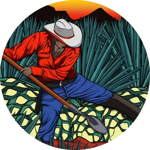 Ilustracion Vectorial 