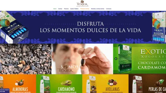 Texier Proyecto web